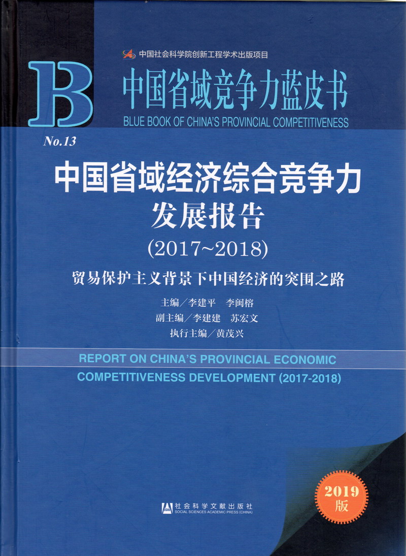 啊啊啊,骚逼好骚啊中国省域经济综合竞争力发展报告（2017-2018）